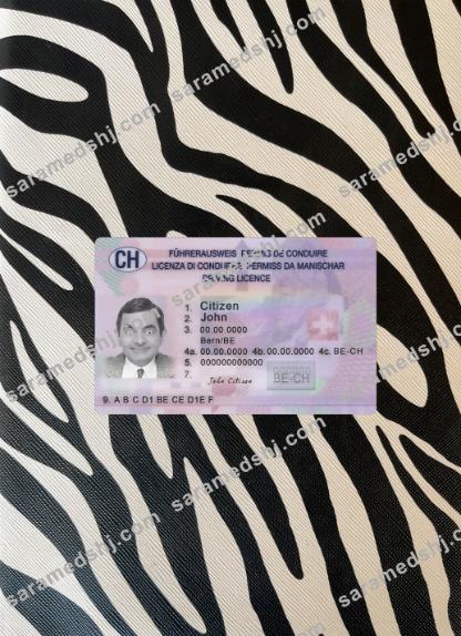 Switzerland driving license 2023-present photolook front